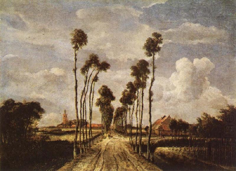 HOBBEMA, Meyndert The avenue in Middelharnis china oil painting image